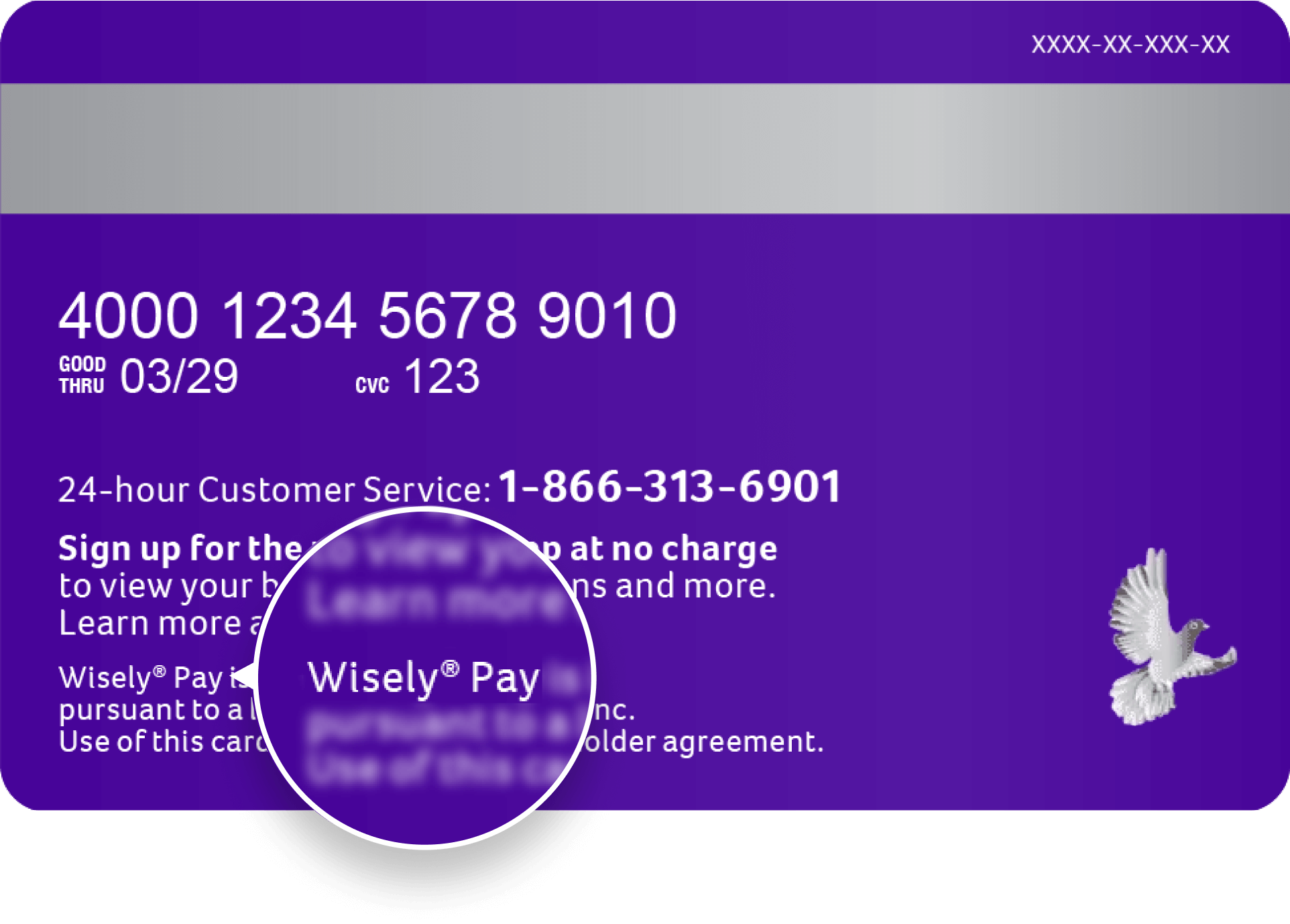 Back of Wisely Pay Card